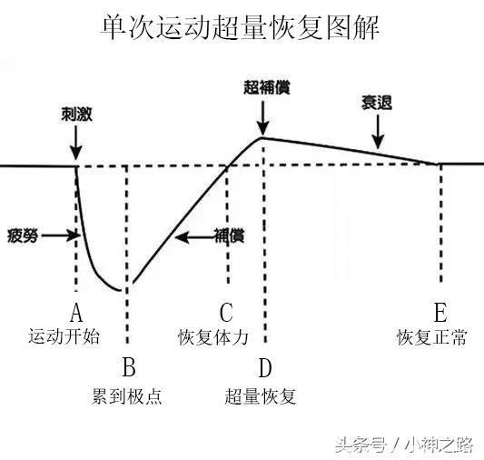 训练过度的五大征兆，为什么食欲降低？为什么容易失眠？