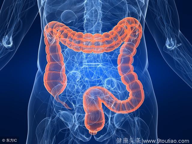 胃肠道功能紊乱可以吃和不可以吃的食物有哪些？这些都榜上有名