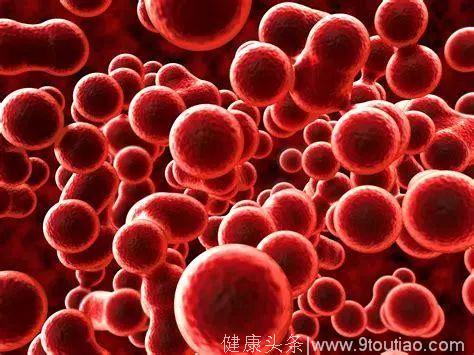 《自然》：提前6至10年预测白血病！科学家首次构建出预测急性髓细胞性白血病的模型｜科学大发现