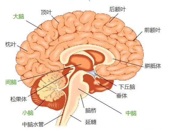 新兴的鼻炎治疗方法，解决无数鼻炎患者的烦恼！