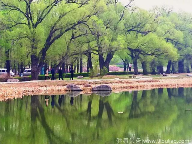 夏季养生就到净月潭风景名胜区！