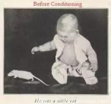 疯狂科学家把婴儿当小白鼠做实验！婴儿长大后令人痛心！