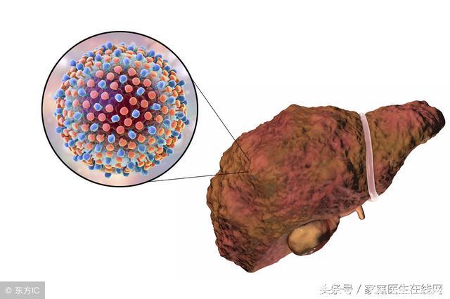 肝脏是个“好器官”！做好这5件事，老了也不得肝病