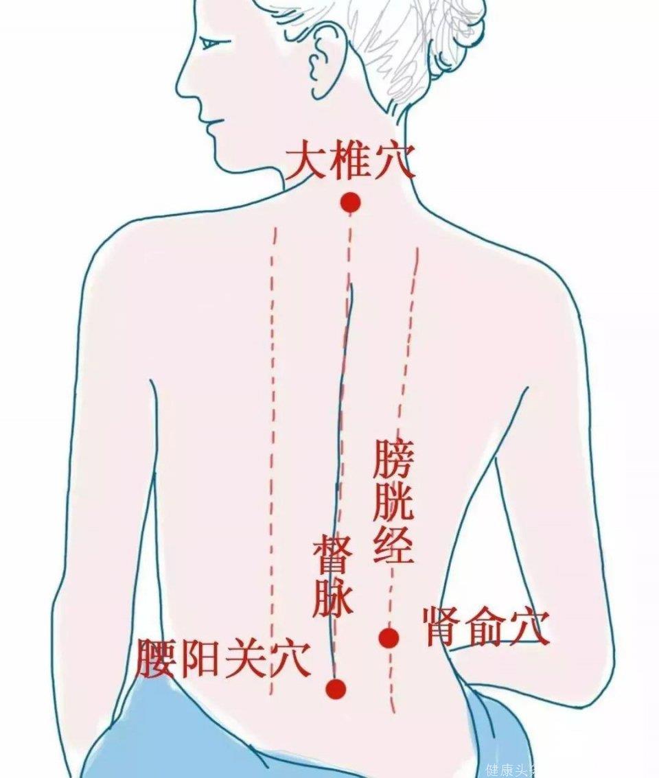 可见日常保养背部十分关键, 特别老年人,若背部寒邪入侵,容易引发风湿