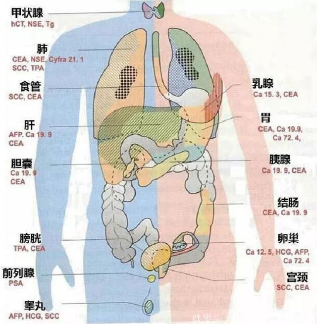 “一滴血”就能验癌症？肿瘤标志物升高的真相你知道吗？