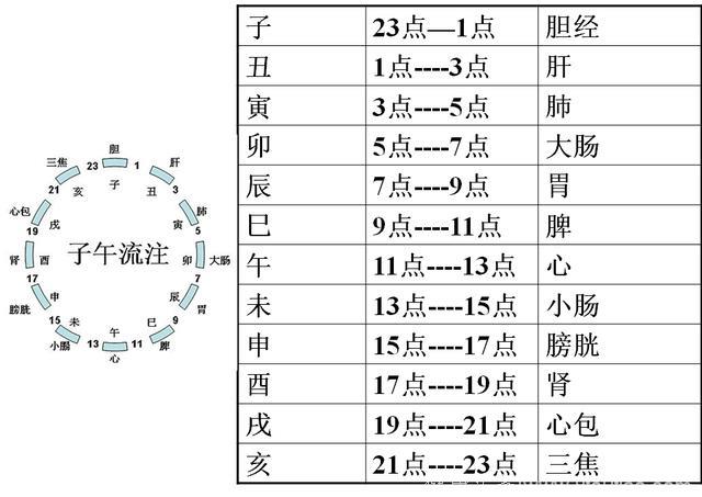 中医经络养生，找准穴位才是关键，只需记得这三个字