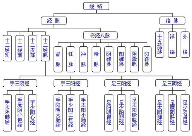 中医经络养生，找准穴位才是关键，只需记得这三个字