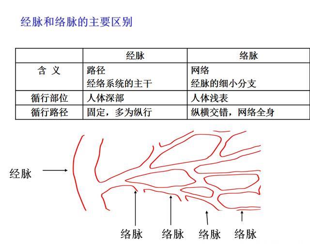 中医经络养生，找准穴位才是关键，只需记得这三个字