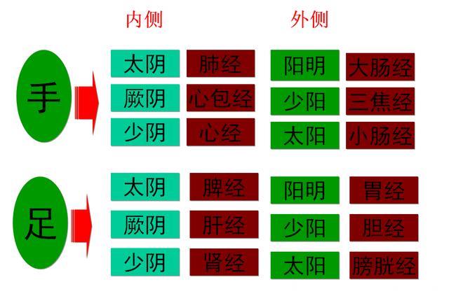 中医经络养生，找准穴位才是关键，只需记得这三个字