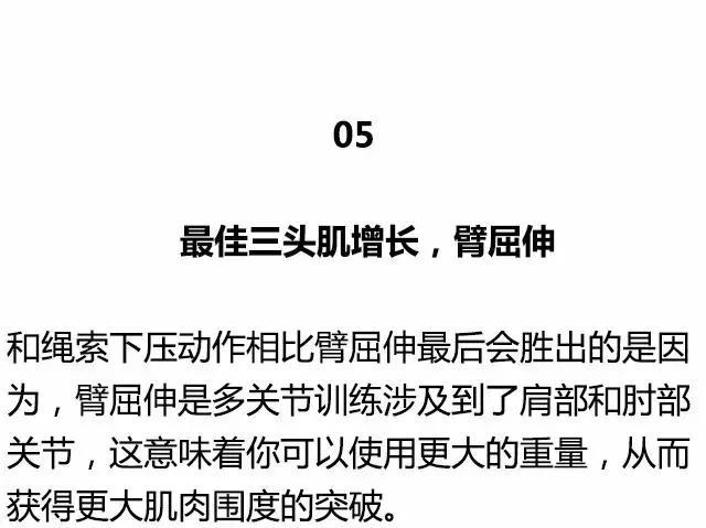 健身圈公认全身各块肌肉，最好的训练动作！