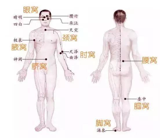 每个人身上都有8个“养生窝”，不吃药、不花钱，按一按更长寿！