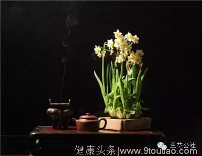 焚香煎茶，品茶养生