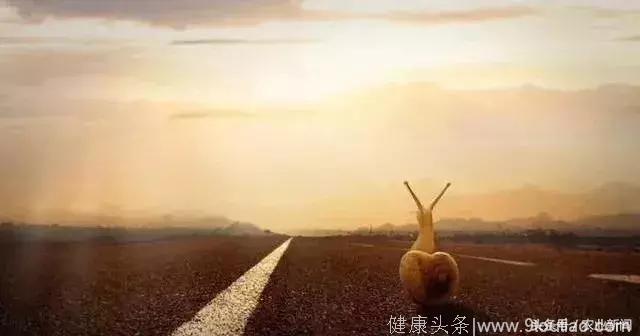 中国农村未来10年：田园养生、乡村旅游、康养旅居项目大有可为