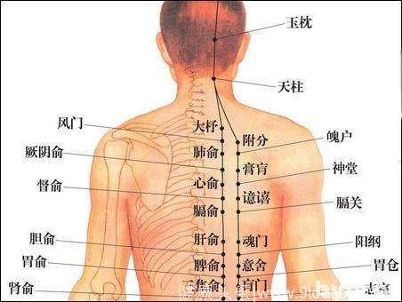 至阳、灵台、神道、身柱四大穴位，临床作用很大，讲解很有意思