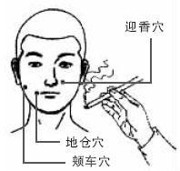 足三里、梁丘、天枢、地仓、漏谷12大穴位通脾经，调气血、治病痛