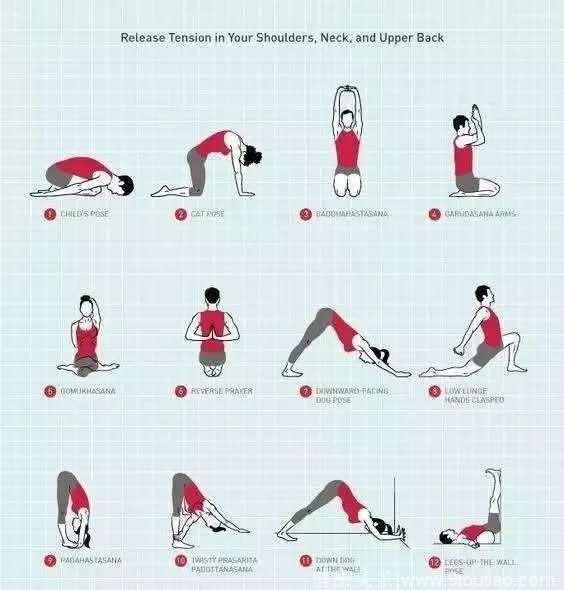 瑜伽体式课程编排：脖子，肩膀，背部放松序列