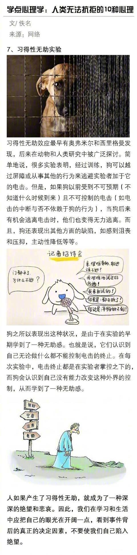 10种无法抗拒的心理学现象