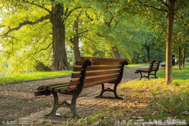 心理学：当你老了，想在哪个长椅上休息？测你晚年会孤独终老吗？