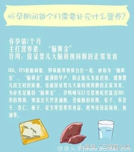 怀孕期间每个月需要补充什么营养？准妈妈们必备