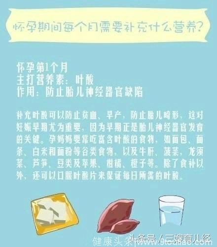 怀孕期间每个月需要补充什么营养？准妈妈们必备