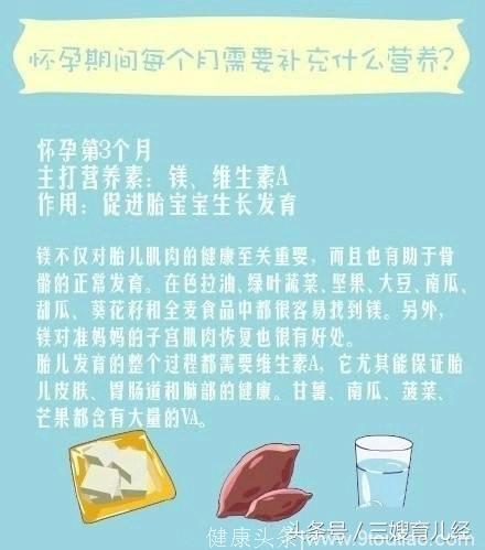 怀孕期间每个月需要补充什么营养？准妈妈们必备