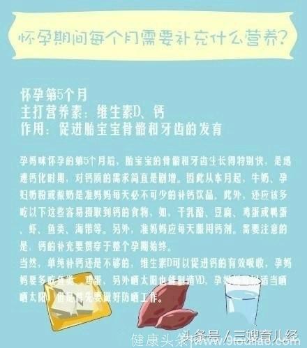 怀孕期间每个月需要补充什么营养？准妈妈们必备