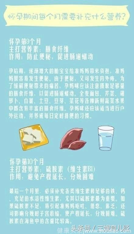 怀孕期间每个月需要补充什么营养？准妈妈们必备