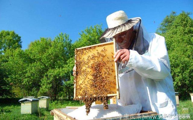 养蜂四季与现实四季的区别，养蜂人时间管理一大误区