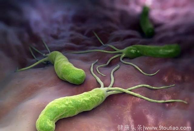 幽门螺杆菌“最怕”的几种食物，每天吃一点，赶走胃病和口臭