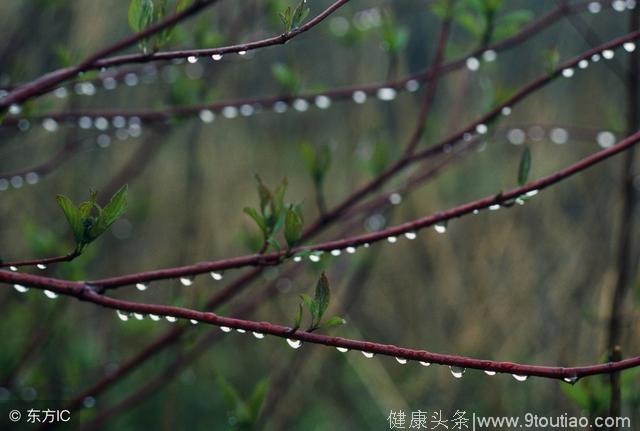 秋雨绵绵，易犯鼻炎！做对这些就痊愈！