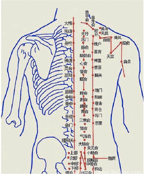 除了足三里，你还知道哪些穴位可以缓解肠胃疾病？