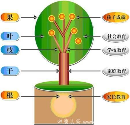 高级家庭教育指导师，这位妈妈的做法获千万父母称赞！