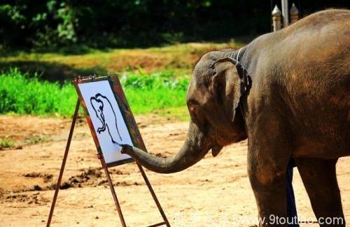 心理测试：四个大象选一个，看你三年有什么神奇的境遇