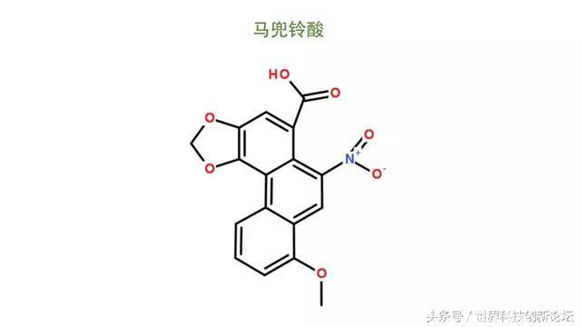 得了癌症“去医院死得更快”？饿死癌细胞？这篇癌症科普请收好！