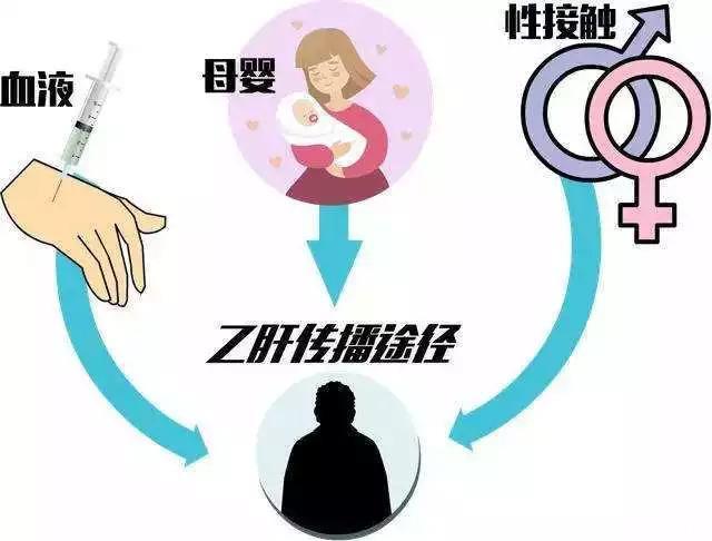 北方名医｜拒绝“肝”扰 享受健康