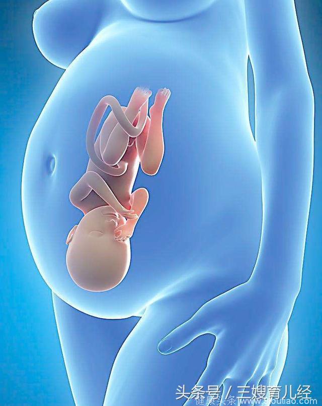 怀孕期间，“肚脐”鼓出和凹进有什么区别？快来看看