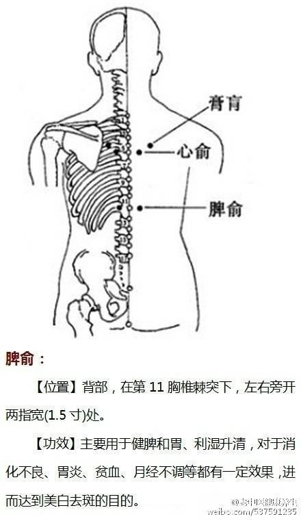 《穴位功效大全》超级实用的中医知识，收藏起来吧！