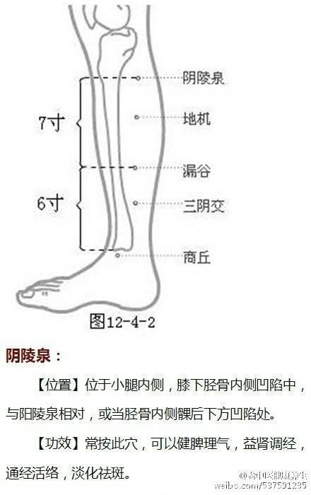 《穴位功效大全》超级实用的中医知识，收藏起来吧！