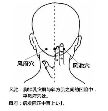 龙华医院盛锋：落枕、抽筋、腰痛频发生！牢记这9个穴位，做自己的推拿师