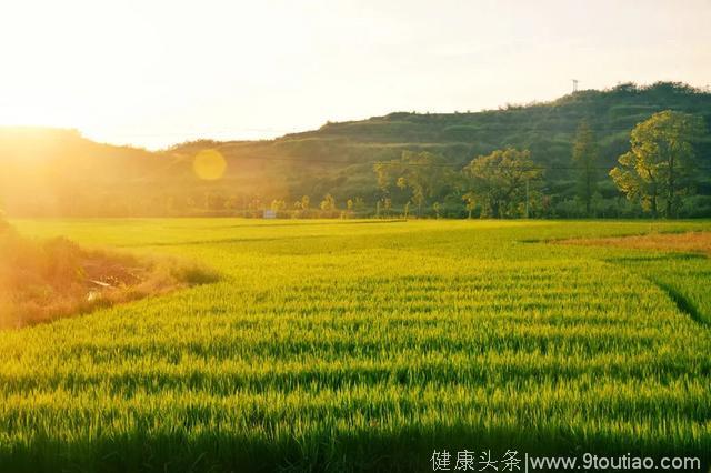 韶关隐藏的养生风水宝地——始兴县红梨村，未来一起来养老好吗？