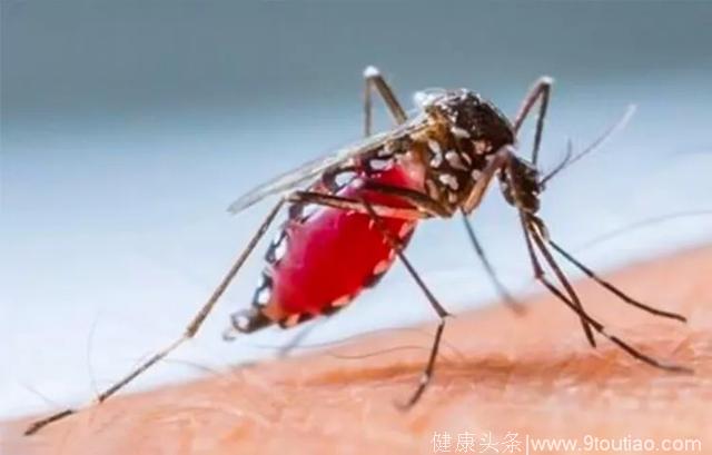 秋蚊”毒过夏，有种比手足口还可怕的病最易找上娃