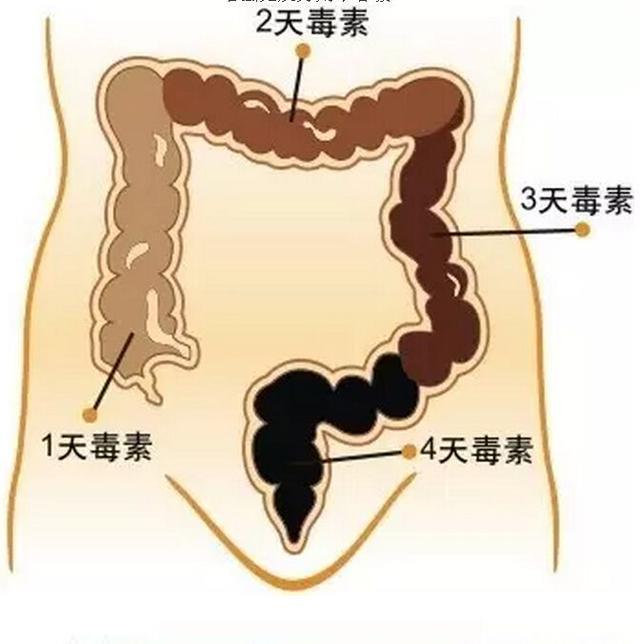 体内毒素多有4种提示 及时发现它们 尽早远离疾病缠身！