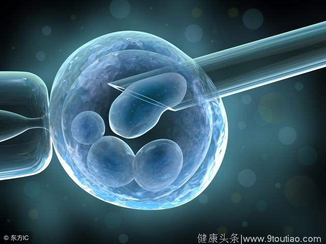 夫妻俩怀孕常识过关了吗？这7个「你以为」，真相在这里！