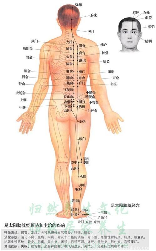 酷爱养生的你，这套286幅的最全高清穴位图一定要收藏第二季01