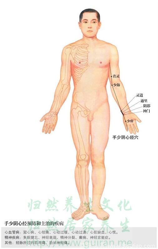 酷爱养生的你，这套286幅的最全高清穴位图一定要收藏第二季01