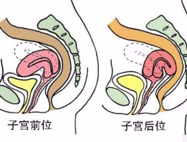 备孕：一次就怀孕的女人，一般有这4个“特点”，你有一个也好！