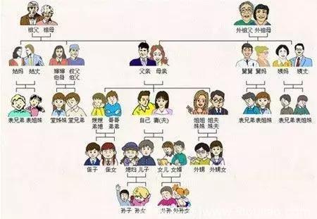 子宫肌瘤、子宫腺肌症、子宫内膜异位症，这亲戚关系总算清楚了~