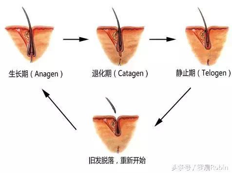 产后脱发竟是平时的4倍！怎么办？