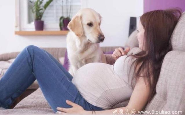怀孕期间，家里这几个地方孕妈要少去
