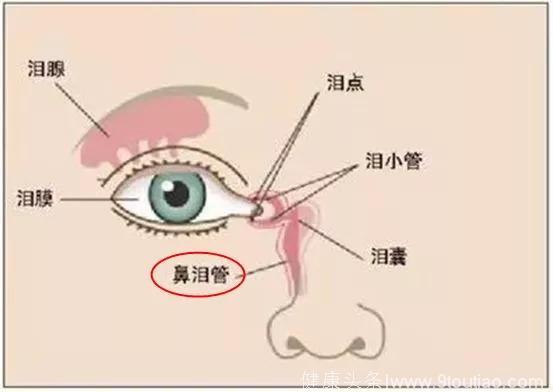 鼻炎又双叒叕犯了？！治疗“老鼻炎” 就用这几招！